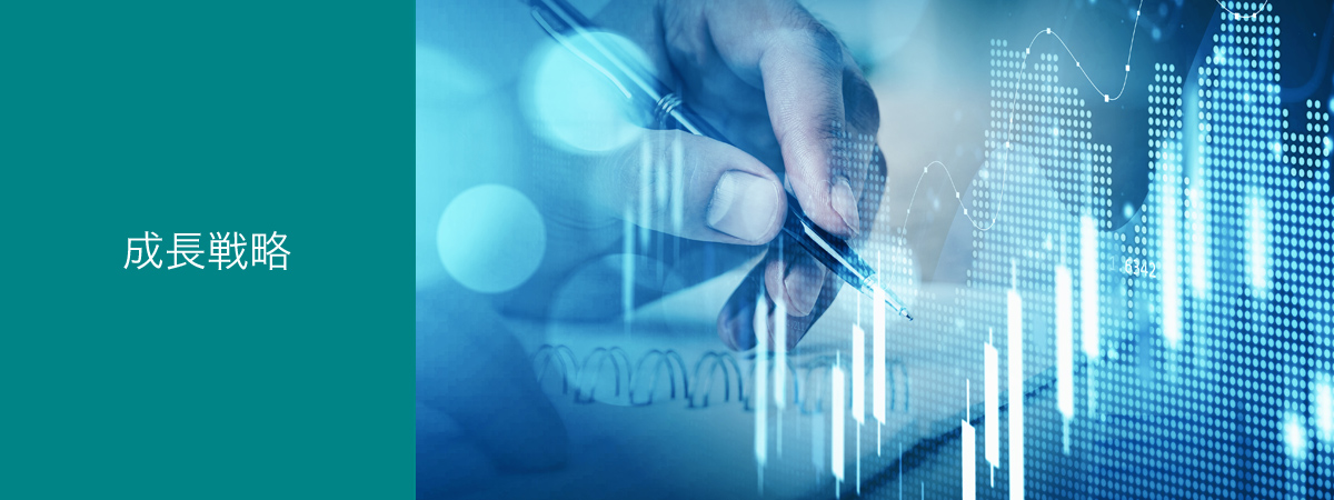 成長戦略